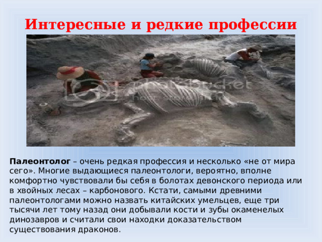 Интересные и редкие профессии Палеонтолог – очень редкая профессия и несколько «не от мира сего». Многие выдающиеся палеонтологи, вероятно, вполне комфортно чувствовали бы себя в болотах девонского периода или в хвойных лесах – карбонового. Кстати, самыми древними палеонтологами можно назвать китайских умельцев, еще три тысячи лет тому назад они добывали кости и зубы окаменелых динозавров и считали свои находки доказательством существования драконов. 