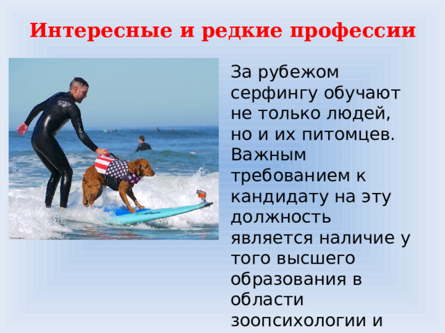 Интересные и редкие профессии За рубежом серфингу обучают не только людей, но и их питомцев. Важным требованием к кандидату на эту должность является наличие у того высшего образования в области зоопсихологии и ветеринарии 