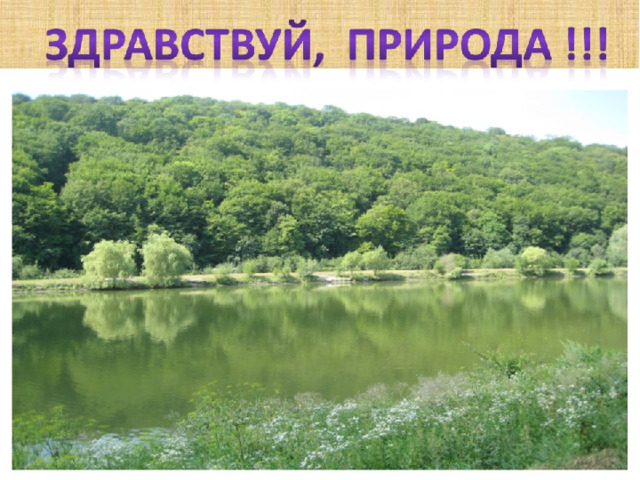 Здравствуй, природа! 