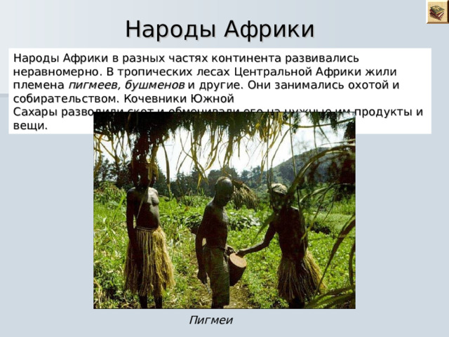 Народы Африки  Народы Африки в разных частях континента развивались неравномерно. В тропических лесах Центральной Африки жили племена пигмеев, бушменов и другие. Они занимались охотой и собирательством. Кочевники Южной Сахары разводили скот и обменивали его на нужные им продукты и вещи. Пигмеи 