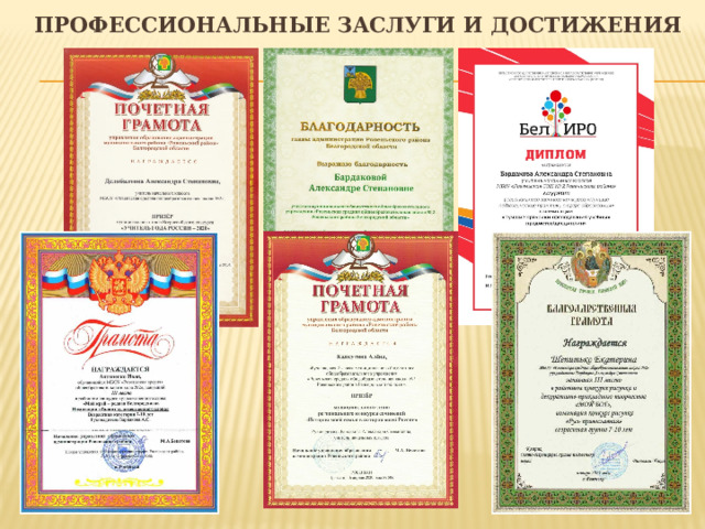 Профессиональные заслуги и достижения 