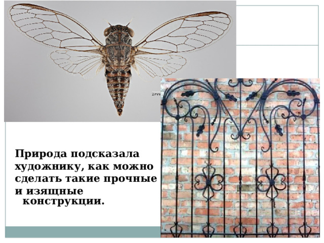 Природа подсказала  художнику, как можно сделать такие прочные и изящные конструкции.  