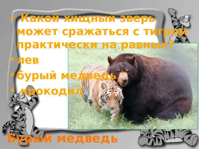  Какой хищный зверь может сражаться с тигром практически на равных? лев бурый медведь  крокодил Бурый медведь 