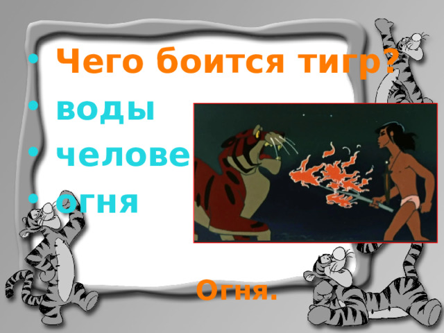  Чего боится тигр?  воды  человека  огня Огня. 