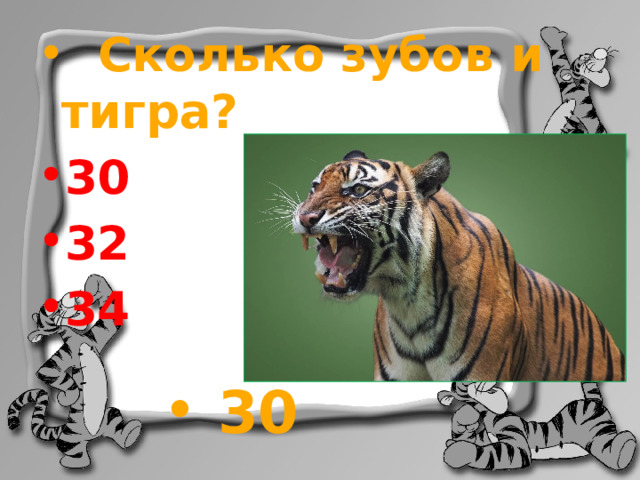  Сколько зубов и тигра? 30 32 34  30 
