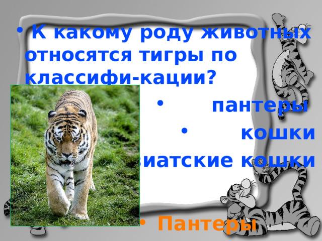  К какому роду животных относятся тигры по классифи-кации?  пантеры  кошки  азиатские кошки Пантеры 