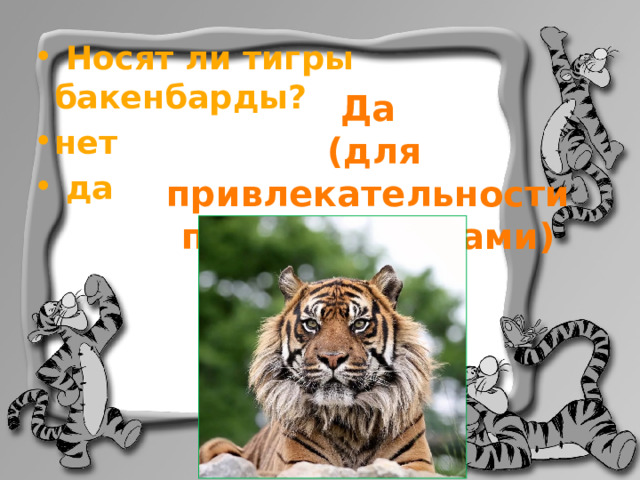  Носят ли тигры бакенбарды? нет  да Да  (для привлекательности перед тигрицами) 