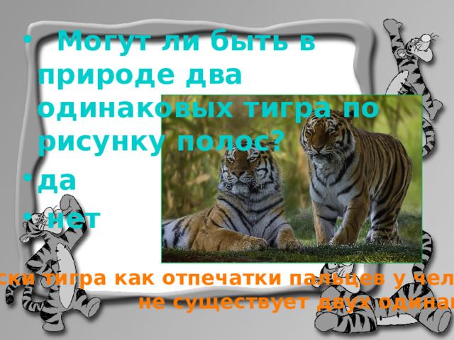  Могут ли быть в природе два одинаковых тигра по рисунку полос? да  нет  Нет (полоски тигра как отпечатки пальцев у человека,  не существует двух одинаковых)  
