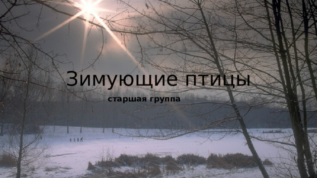 Зимующие птицы старшая группа 