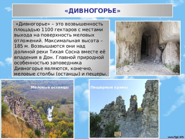 «ДИВНОГОРЬЕ»  «Дивногорье» – это возвышенность площадью 1100 гектаров с местами выхода на поверхность меловых отложений. Максимальная высота – 185 м. Возвышаются они  над долиной реки Тихая Сосна вместе её впадения в Дон. Главной природной особенностью заповедника Дивногорье являются, конечно, меловые столбы (останцы) и пещеры. Меловые останцы Пещерные храмы 