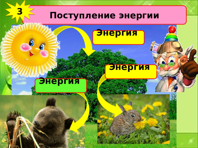 3 Поступление энергии Энергия Энергия Энергия 