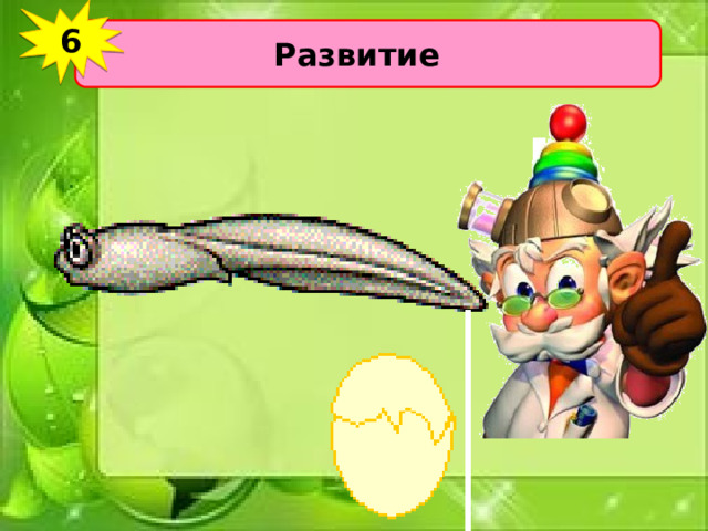 6 Развитие 