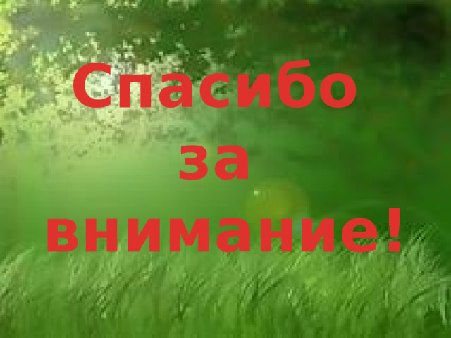 Спасибо за внимание! 