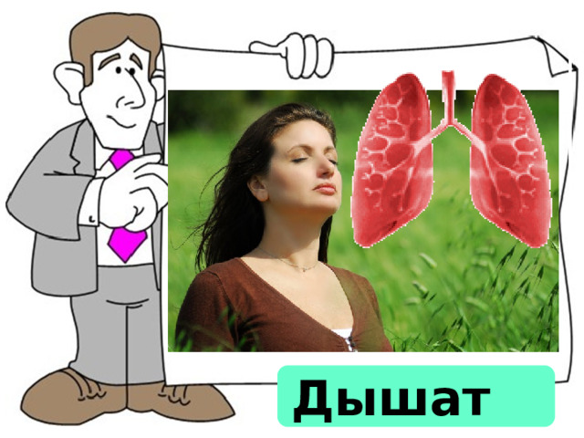 Дышат  