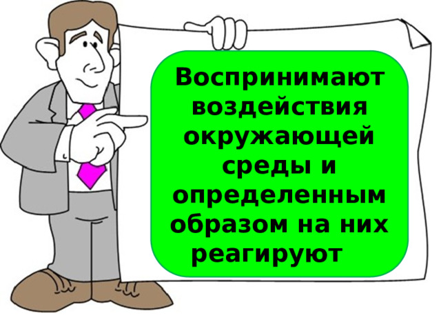 Воспринимают воздействия окружающей среды и определенным образом на них реагируют  