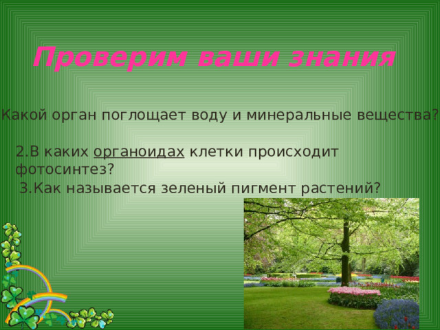 Проверим ваши знания 1.Какой орган поглощает воду и минеральные вещества? 2.В каких органоидах клетки происходит фотосинтез? 3.Как называется зеленый пигмент растений? 