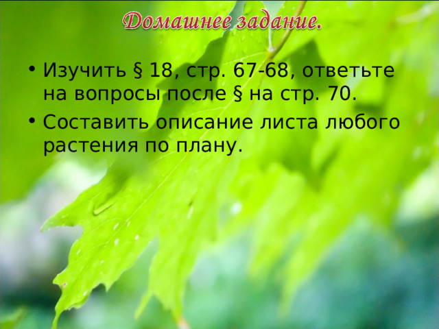 Изучить § 18, стр. 67-68, ответьте на вопросы после § на стр. 70. Составить описание листа любого растения по плану. 