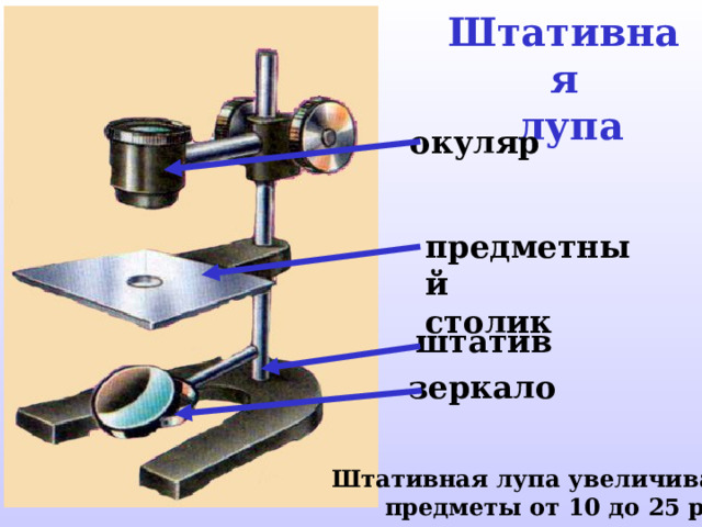 Штативная  лупа окуляр предметный столик штатив зеркало Штативная лупа увеличивает предметы от 10 до 25 раз. 