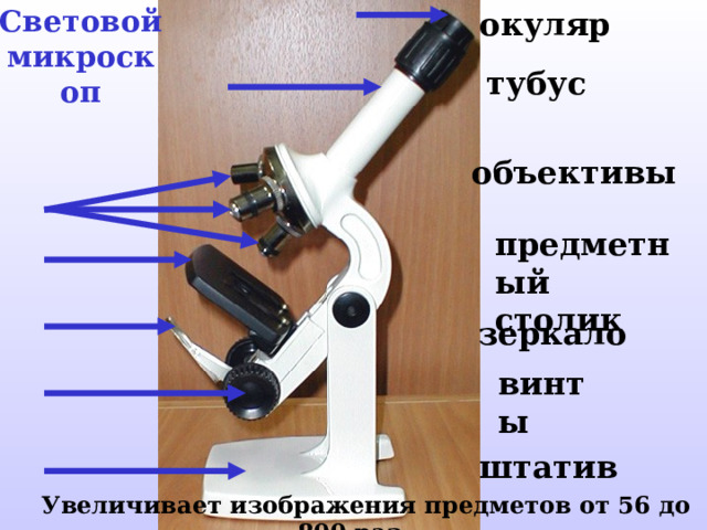 Световой микроскоп окуляр тубус объективы предметный столик зеркало винты штатив  Увеличивает  изображения предметов от 56 до 800 раз. 