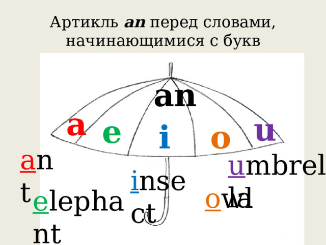 Артикль аn перед словами, начинающимися с букв  an a u e o i a nt u mbrella i nsect o wl e lephant 
