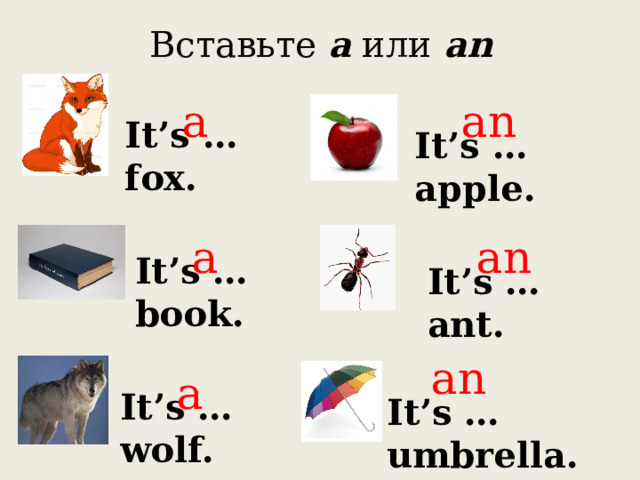 Вставьте a или an a an It’s …fox. It’s … apple. a an It’s …book. It’s … ant. an a It’s …wolf. It’s … umbrella. 