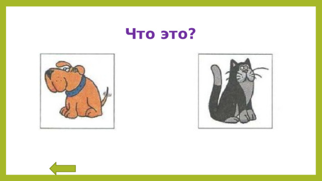 Что это? 