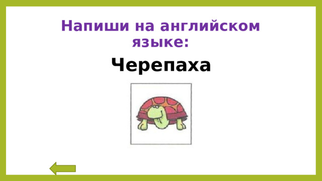 Напиши на английском языке: Черепаха 