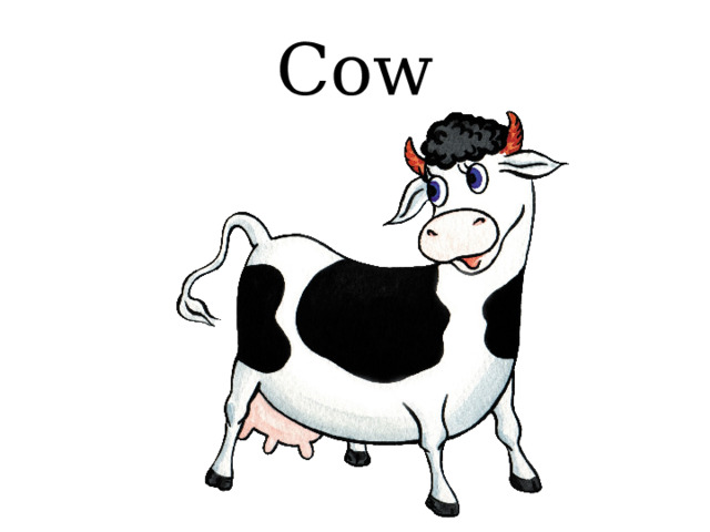 Cow 