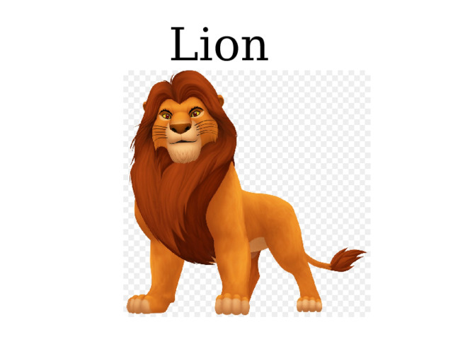 Lion 