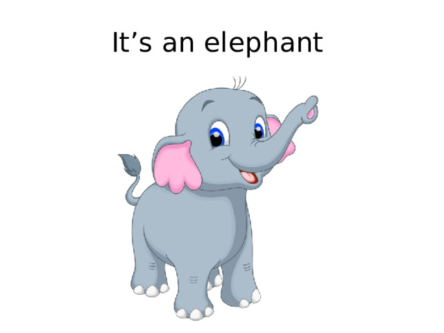 It’s an elephant 