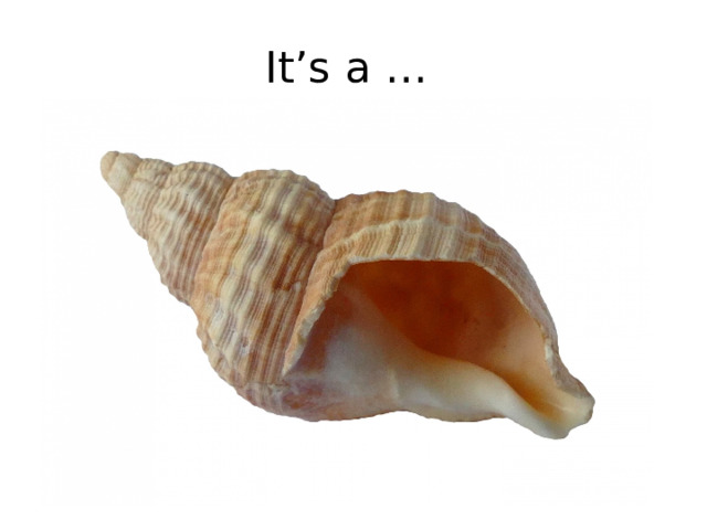 It’s a … 