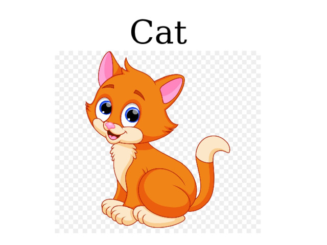 Cat 