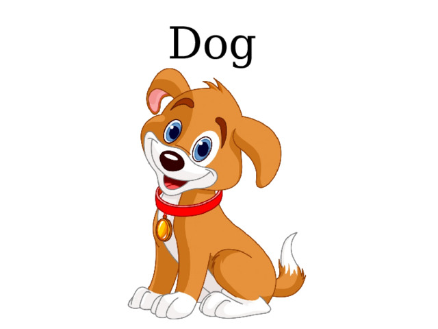 Dog 