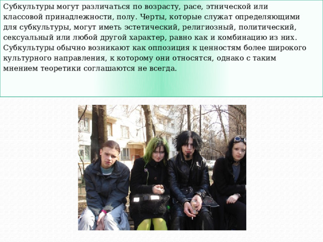 Субкультуры могут различаться по возрасту, расе, этнической или классовой принадлежности, полу. Черты, которые служат определяющими для субкультуры, могут иметь эстетический, религиозный, политический, сексуальный или любой другой характер, равно как и комбинацию из них. Субкультуры обычно возникают как оппозиция к ценностям более широкого культурного направления, к которому они относятся, однако с таким мнением теоретики соглашаются не всегда. 