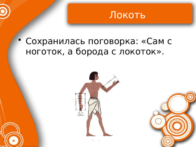Локоть Сохранилась поговорка: «Сам с ноготок, а борода с локоток». 