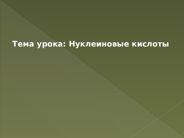 Тема урока: Нуклеиновые кислоты 