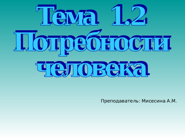 Преподаватель: Мисесина А.М. 
