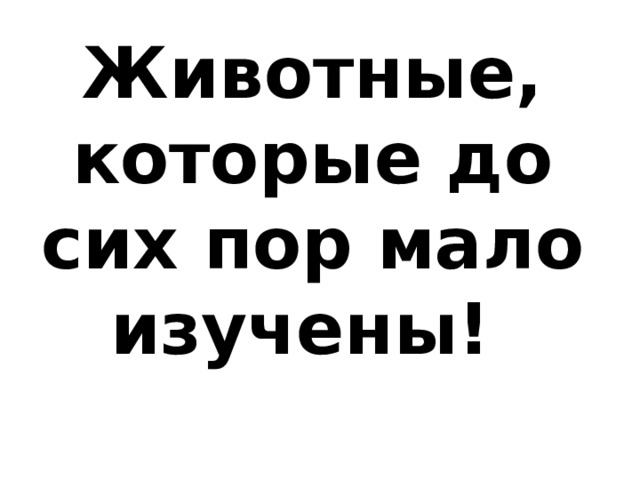 Животные, которые до сих пор мало изучены! 