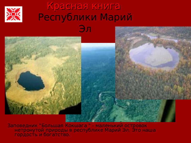 Красная книга   Республики Марий Эл Заповедник 