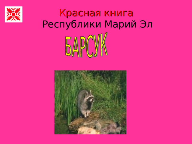 Красная книга   Республики Марий Эл  