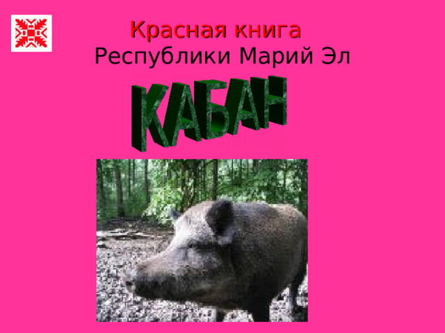 Красная книга    Республики Марий Эл    