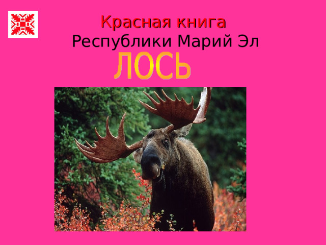 Красная книга  Республики Марий Эл 