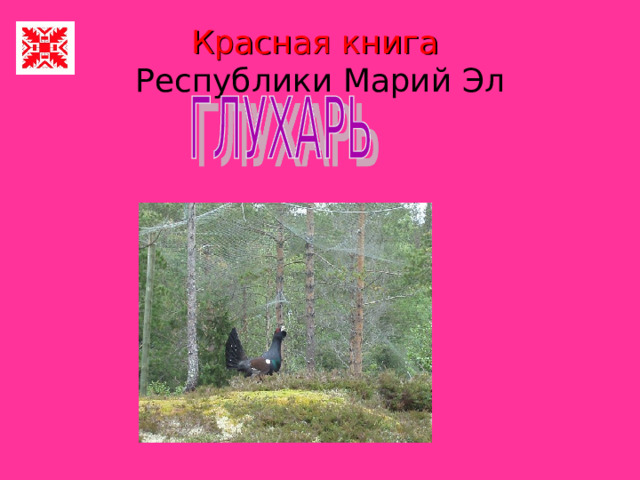 Красная книга   Республики Марий Эл 