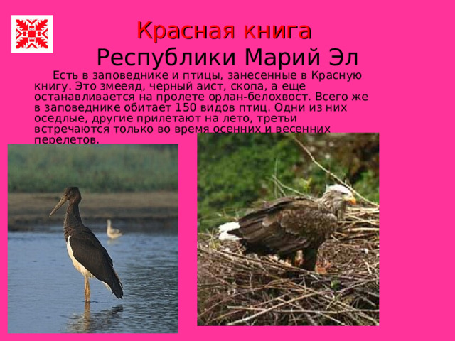 Красная книга  Республики Марий Эл Есть в заповеднике и птицы, занесенные в Красную книгу. Это змееяд, черный аист, скопа, а еще останавливается на пролете орлан-белохвост. Всего же в заповеднике обитает 150 видов птиц. Одни из них оседлые, другие прилетают на лето, третьи встречаются только во время осенних и весенних перелетов. 