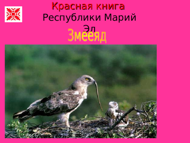 Красная книга   Республики Марий Эл 