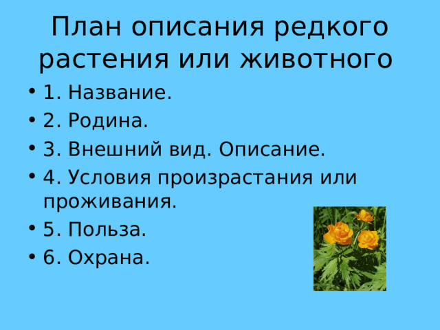 План описания редкого растения или животного 1. Название. 2. Родина. 3. Внешний вид. Описание. 4. Условия произрастания или проживания. 5. Польза. 6. Охрана.  