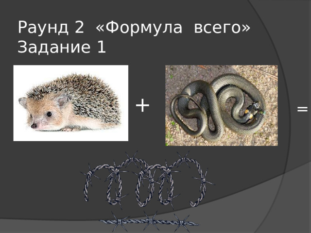 Раунд 2 «Формула всего»  Задание 1 + =  