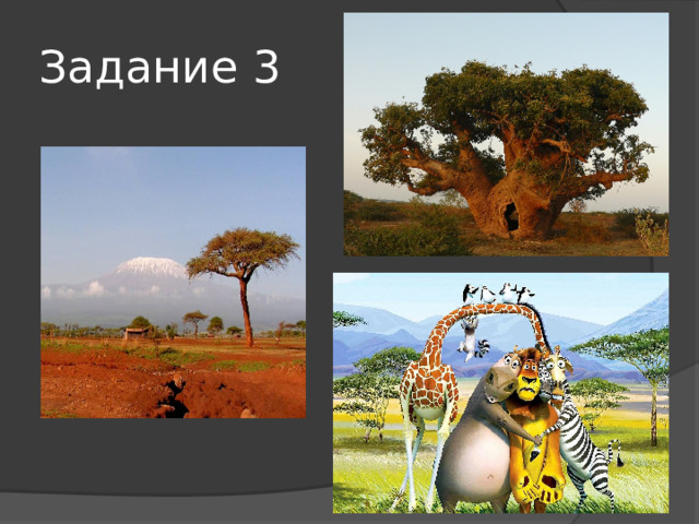 Задание 3 