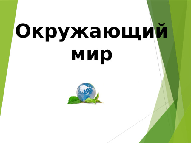 Окружающий мир  
