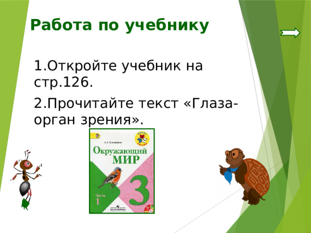 Работа по учебнику 1.Откройте учебник на стр.126. 2.Прочитайте текст «Глаза-орган зрения». 